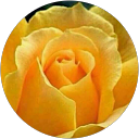 Nikhil Mokha profile picture